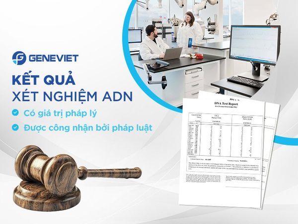 Sử dụng xét nghiệm huyết thống để quyết định quyền nuôi con như thế nào?
