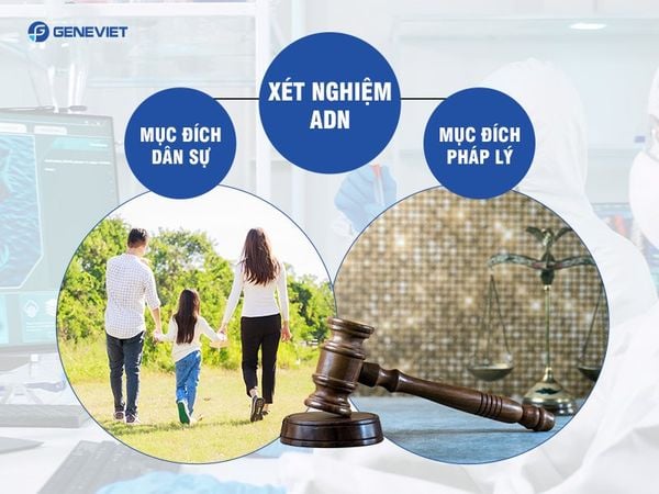 Xét nghiệm ADN dân sự và pháp lý: so sánh điểm giống và khác nhau
