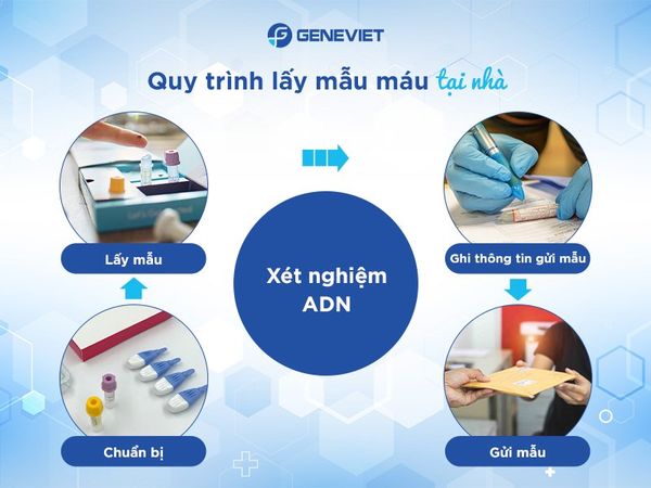 Hướng dẫn lấy mẫu máu tại nhà xét nghiệm ADN