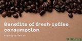 Các Lợi Ích Khi Chúng Ta Dùng Cà Phê Sạch