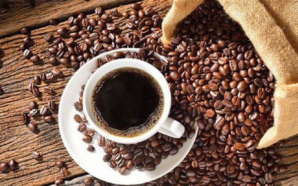 CÁCH PHÂN BIỆT CÀ PHÊ ARABICA VÀ ROBUSTA, LOẠI NÀO NGON HƠN?
