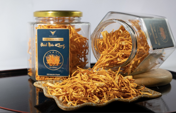 Hướng dẫn sử dụng Đông trùng hạ thảo Bách Niên Khang sợi sấy thăng hoa