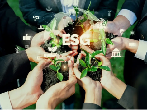 ESG trong doanh nghiệp Việt: Những bước chuyển mình đầu tiên