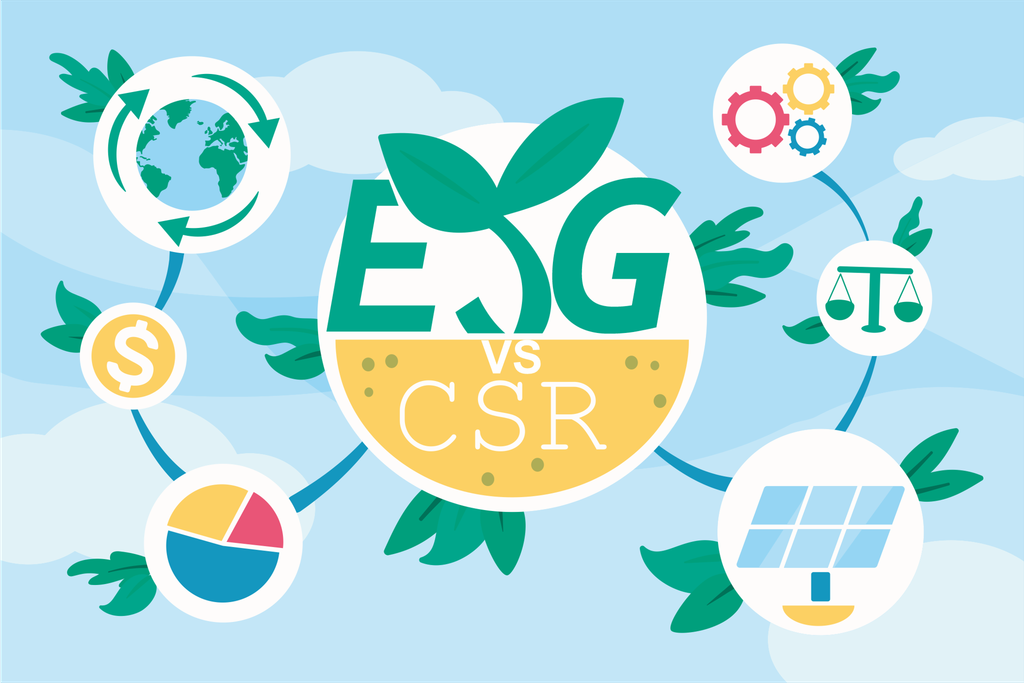 How Does CSR Differ from ESG?
