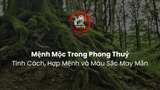 Mệnh Mộc Trong Phong Thuỷ: Tính Cách, Hợp Mệnh và Màu Sắc May Mắn