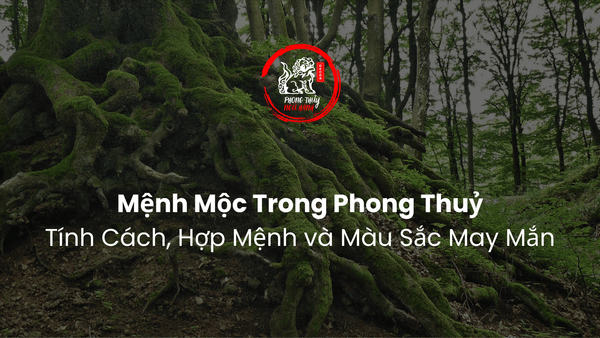 Mệnh Mộc Trong Phong Thuỷ: Tính Cách, Hợp Mệnh và Màu Sắc May Mắn