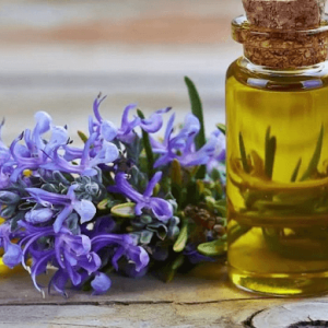 Top 9 công dụng của tinh dầu hương thảo bạn nên biết