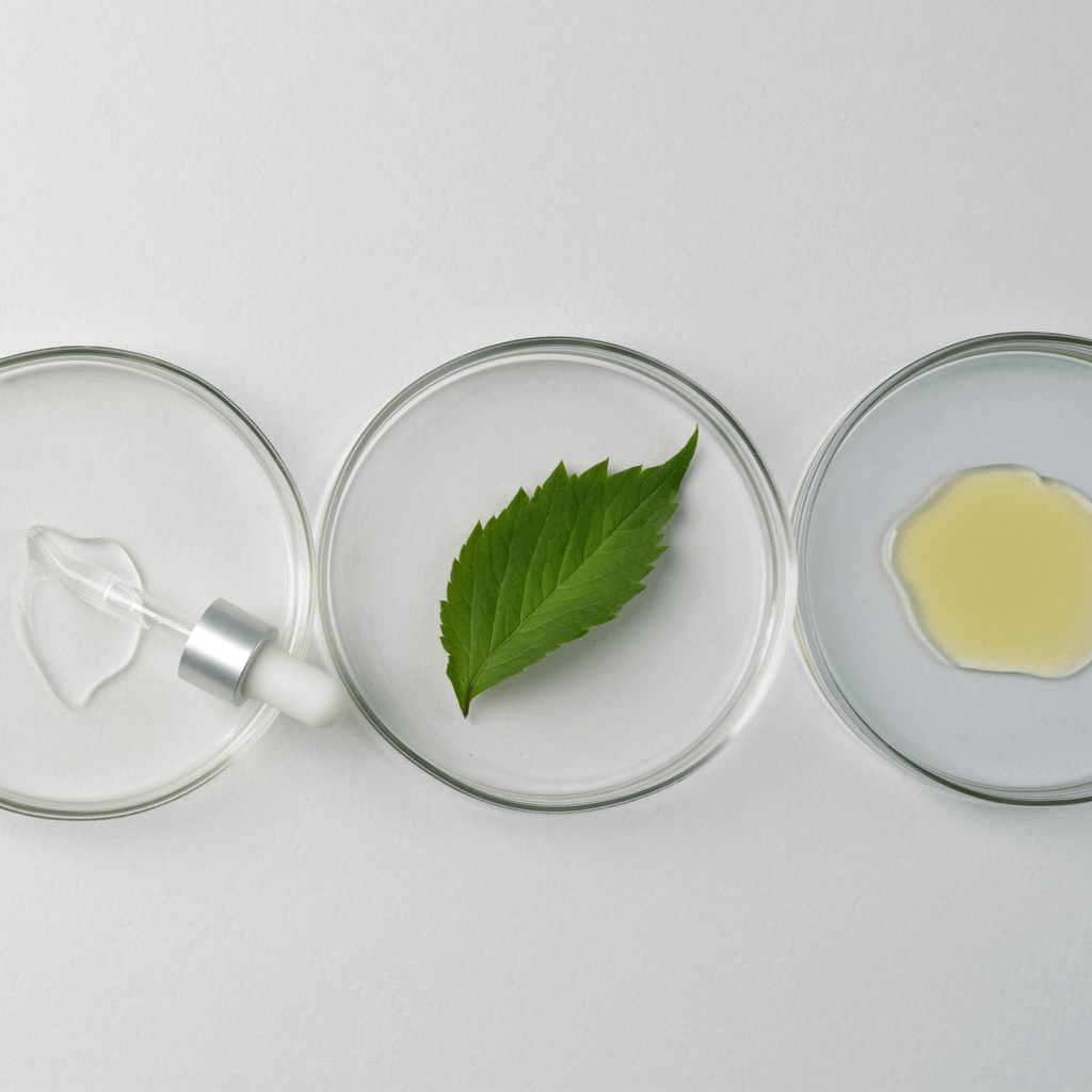 Xu Hướng Lựa Chọn Mỹ Phẩm Sinh Học Hiện Nay – Giải Pháp Làm Đẹp Bền Vững