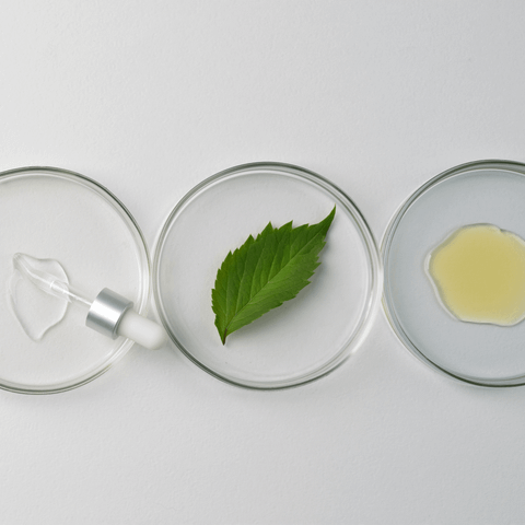 Xu Hướng Lựa Chọn Mỹ Phẩm Sinh Học Hiện Nay – Giải Pháp Làm Đẹp Bền Vững