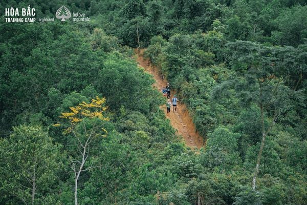 Từ dốc đứng đến suối mát, hành trình trail Hòa Bắc là bản hòa ca của thiên nhiên và đam mê.