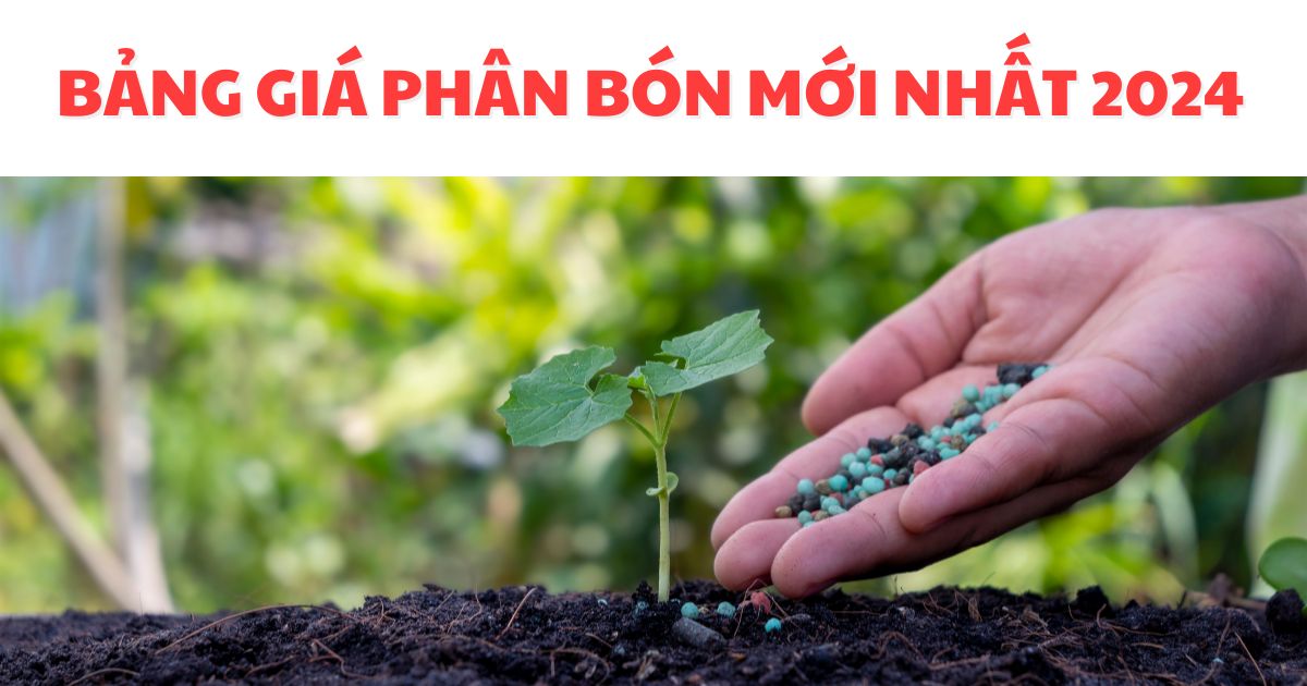 Bảng Giá Phân Bón Mới Nhất 2024