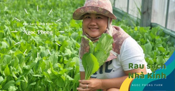 Rau sạch nhà kính tại Phước Lý Long An do hai anh chị yêu rau sạch hữu cơ làm nên điều kỳ diệu
