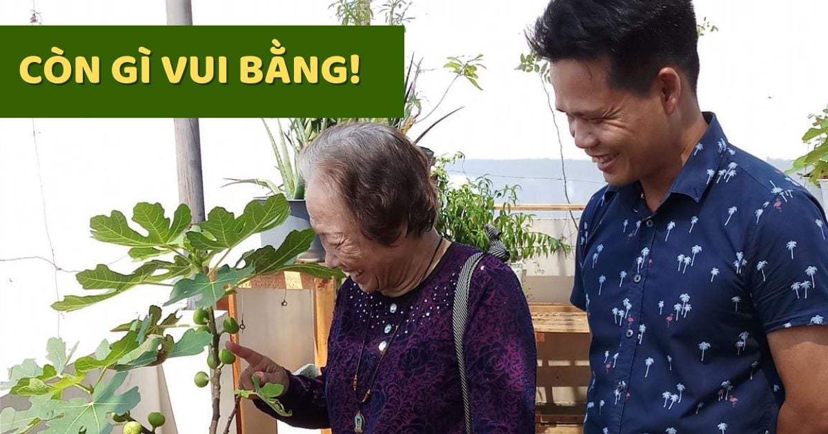 Nụ cười viên mãn của cô khi đến tham quan Cây Sung Mỹ tại Vườn Sạch 7kg!