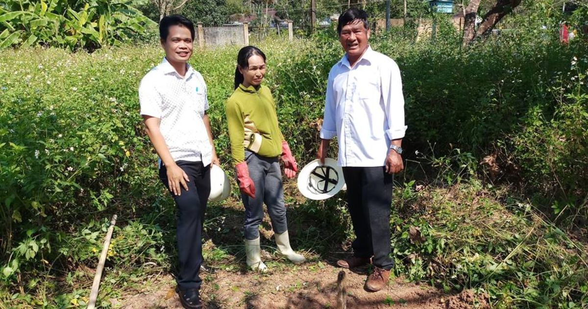 Kết quả trồng sung mỹ tại Quảng Nam (Đã ngưng hợp tác)