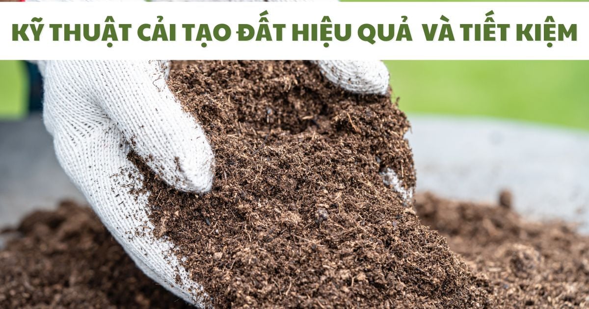 Kỹ Thuật Cải Tạo Đất Như Thế Nào Đúng Cách Hiệu Quả Và Tiết Kiệm