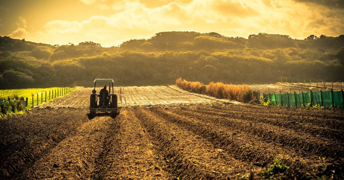 Làm nông nghiệp hữu cơ tại Mỹ - Organic Farming - 3 - Soil - Đất trồng