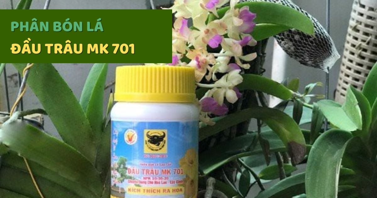 Tìm Hiểu Phân Bón Lá Đầu Trâu 701