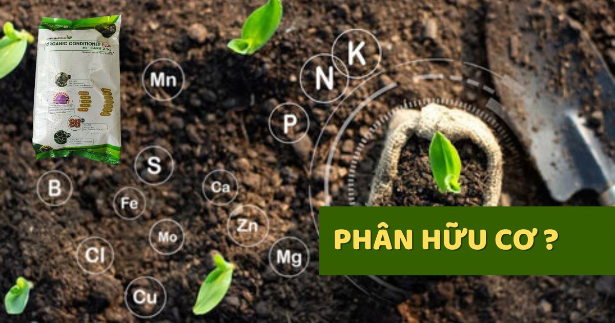 Phân Bón Hữu Cơ Là Gì? Phân Loại Phân Bón Hữu Cơ?