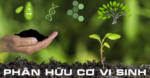 Ưu Điểm Của Phân Hữu Cơ Vi Sinh Bình Điền