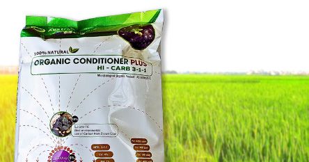 Phân bón hữu cơ Organic Conditioner Plus Hi Carbon 3-1-1 có ý nghĩa gì?