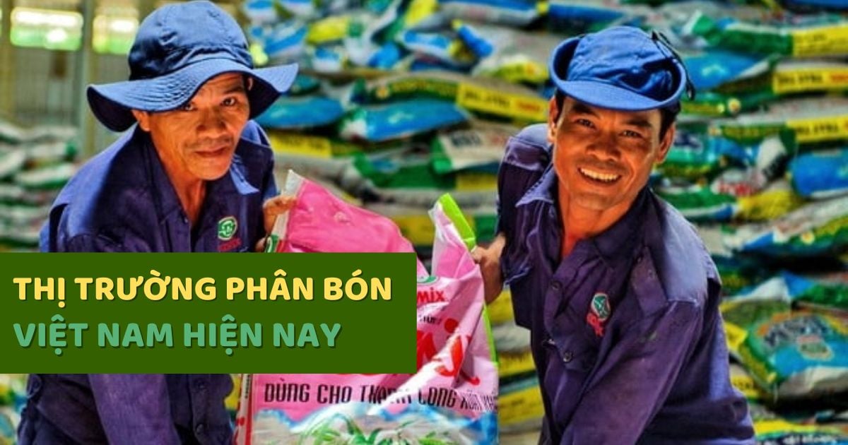 Thị Trường Phân Bón Hữu Cơ Việt Nam Hiện Nay