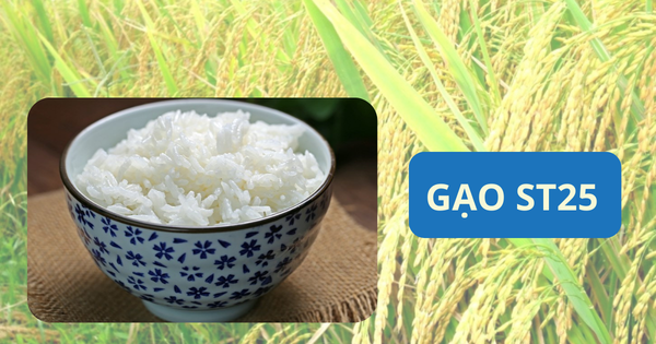 Gạo ST25 - Đỉnh Cao Hương Vị Trong Nền Ẩm Thực Thế Giới