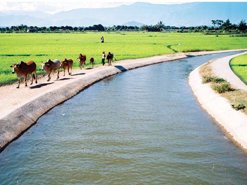 Biện pháp thủy lợi