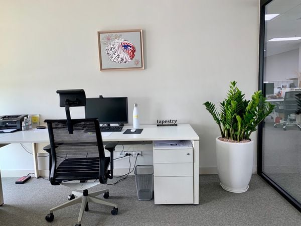 Cách Chăm Sóc Kim Tiền Ra Hoa, Thu Hút Tài Lộc