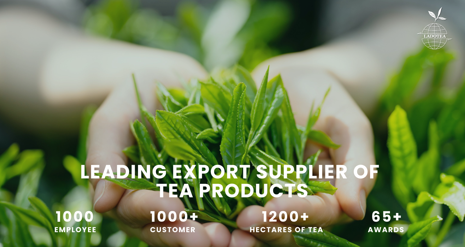 WE ARE INVITING TO COOPERATION