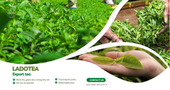 OUTSTANDING CAPACITY, INTERNATIONAL REACH