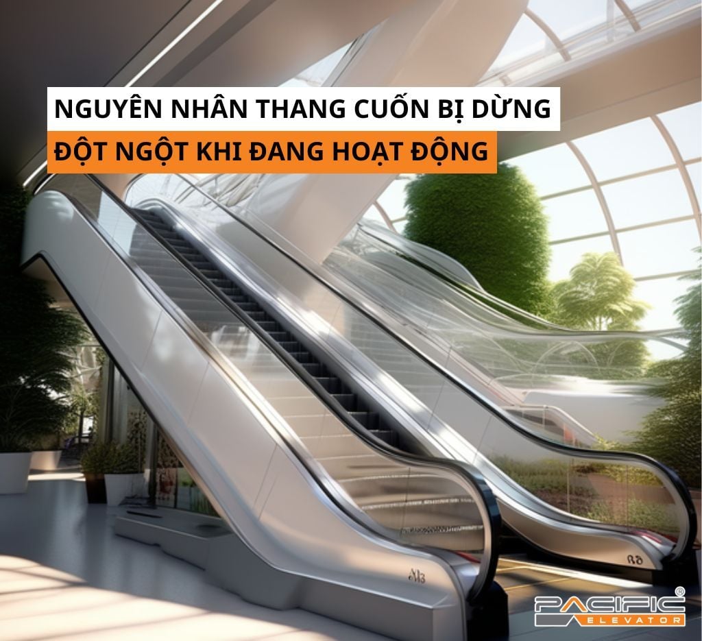 Nguyên nhân thang cuốn bị dừng đột ngột