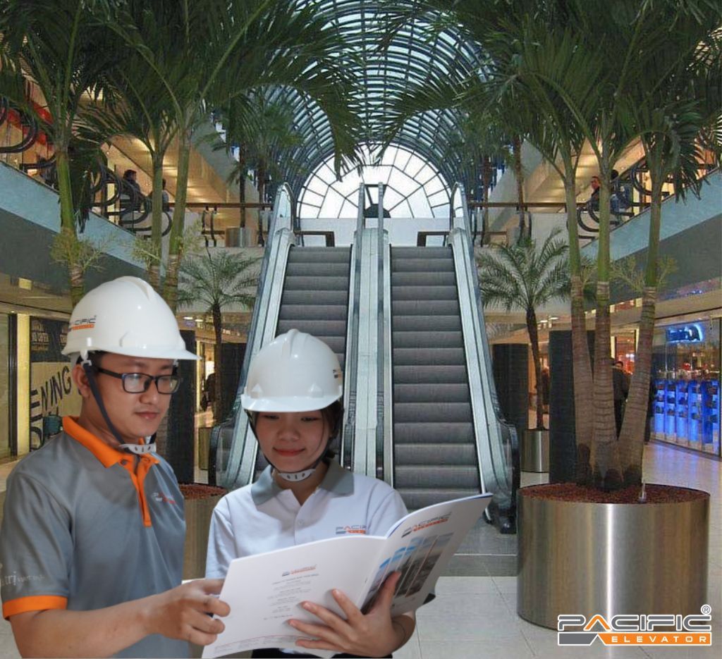 Thang cuốn là gì? Tìm hiểu chi tiết về dòng thang cuốn