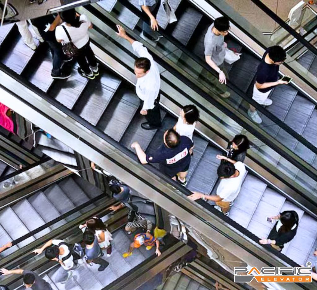 Thang cuốn trong siêu thị và những điều cần biết