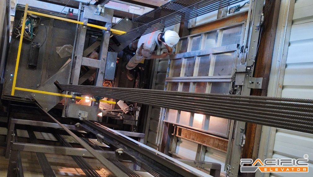 Nhà máy thức ăn chăn nuôi De Heus Campuchia Pacific