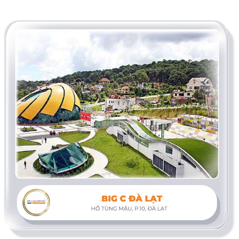 Thang máy Pacific lắp đặy thang máy, thang cuốn tại BIG C ĐÀ LẠT
