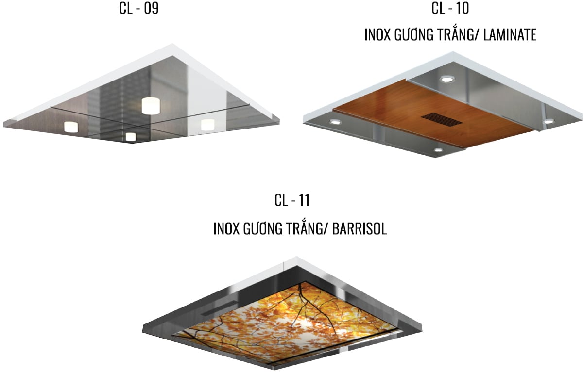 Thang máy Pacific Thương hiệu Tecno mẫu trần cabin C09 - C10 - C11