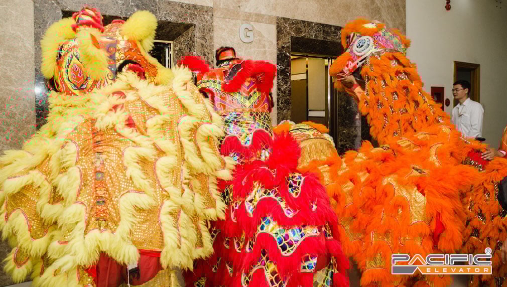 Thang máy Pacific - Trụ sở chính