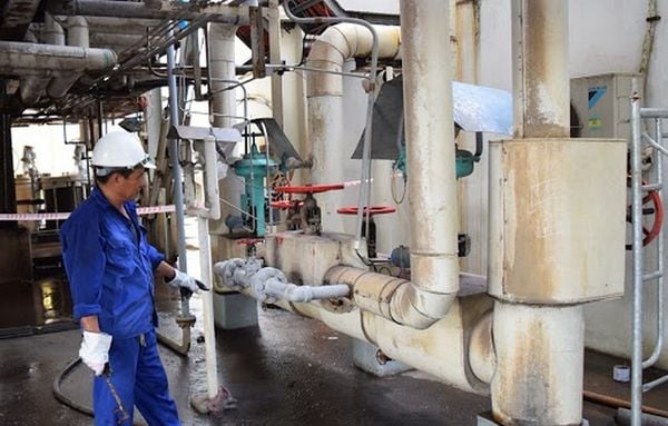 Quy trình sản xuất đường: Hành trình từ cây mía đến hạt đường tinh khi