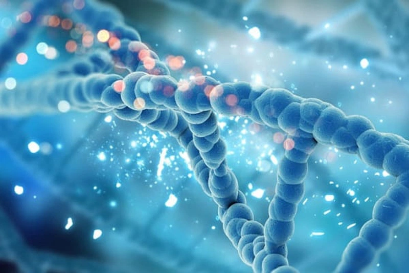 Bộ Hóa Chất Tổng Hợp Acid Nucleic – Giải pháp toàn diện từ Wako