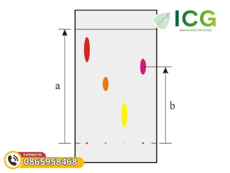 Sắc ký lớp mỏng - Khái niệm, nguyên lý, các ứng dụng phổ biến