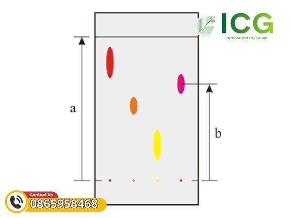 Sắc ký lớp mỏng - Khái niệm, nguyên lý, các ứng dụng phổ biến