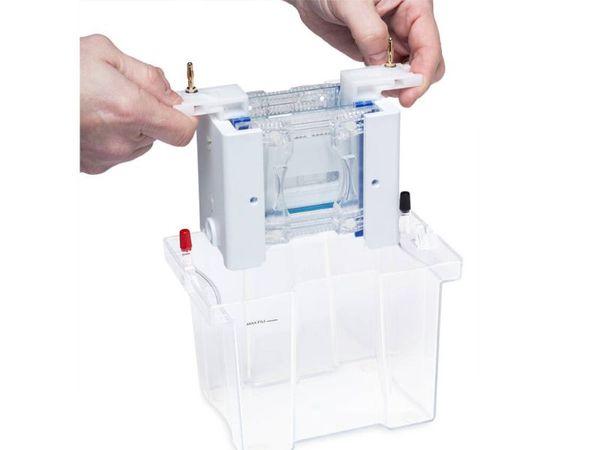 Thông số kỹ thuật bộ điện di đứng Cleaver Omnipage
