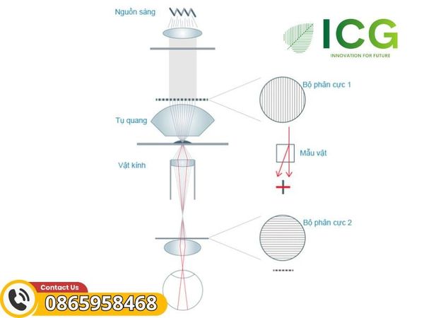 Cấu tạo cơ bản kính hiển vi phân cực