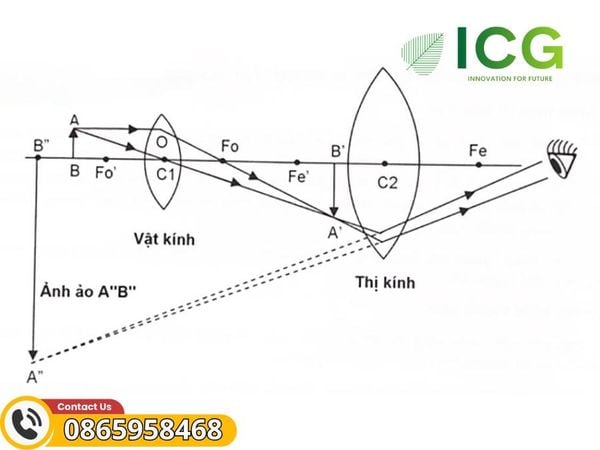 Nguyên lý hoạt động kính hiển vi quang học