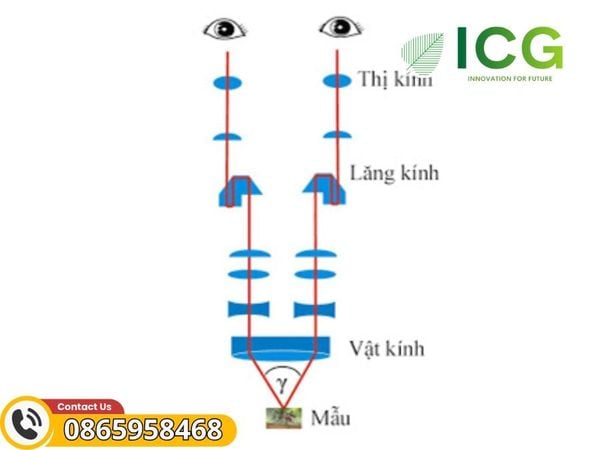 kính hiển vi quang học