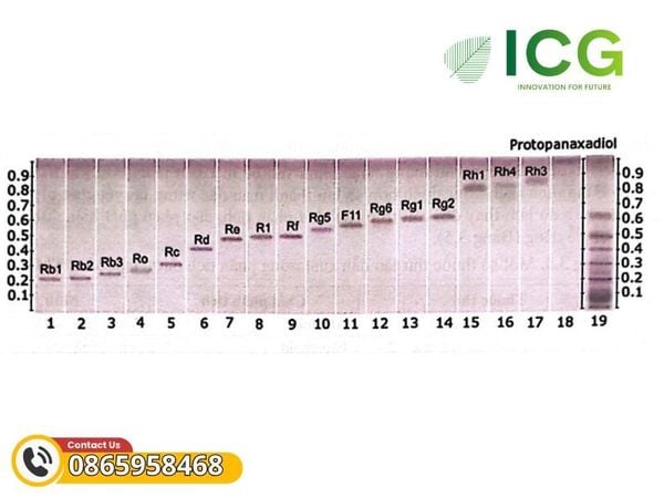 Sắc ký lớp mỏng - Khái niệm, nguyên lý, các ứng dụng phổ biến