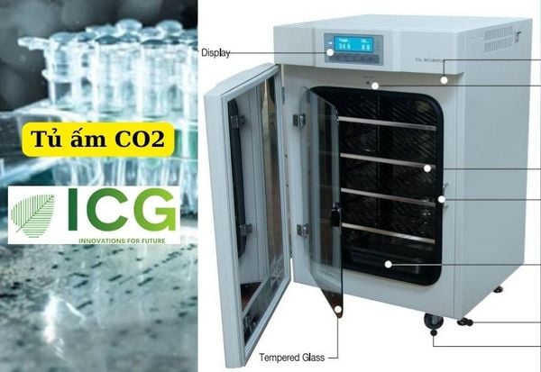 Tủ ấm CO2