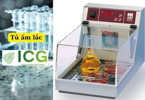 Tủ ấm lắc