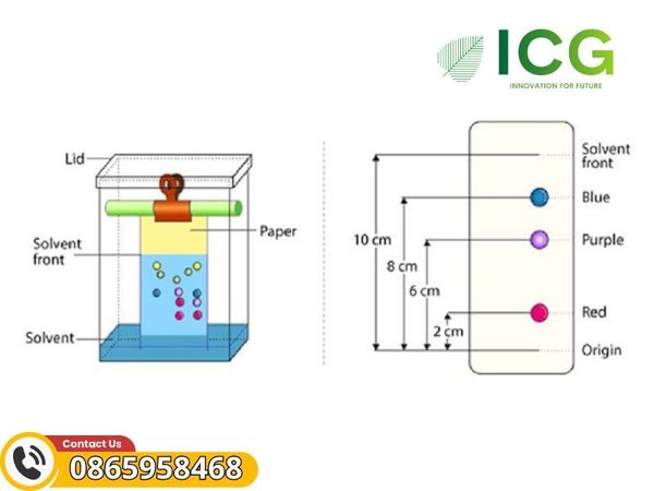 Vật tư hóa chất sắc ký lớp mỏng Merck – Giải pháp tối ưu cho phân tích TLC