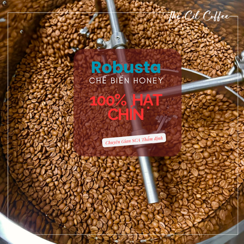 Chất lượng cà phê nhân xanh ảnh hưởng đến hương vị của cà phê như thế nào?